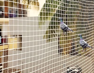 Best Bird Net Installation Services In Noida
